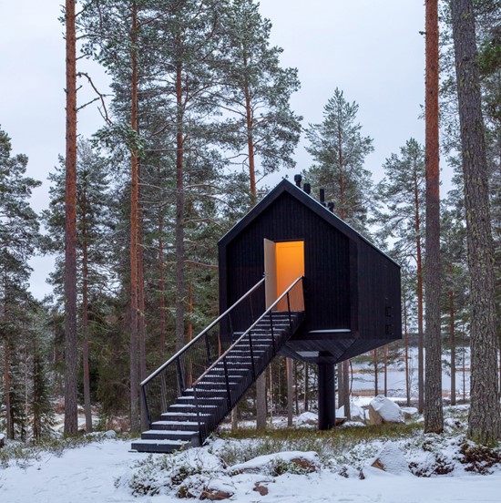 کابین سیاه بر روی ستون باریک در جنگل فنلاند